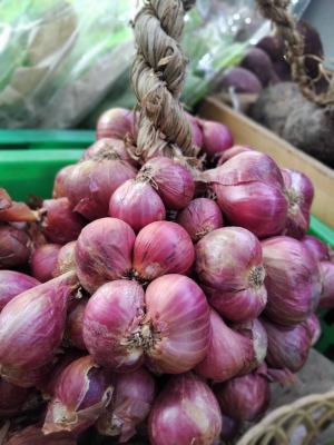 Hành Tím